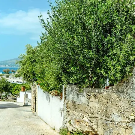 Dory Daire Trogir